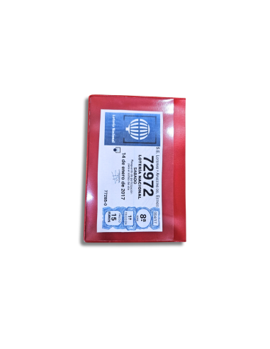 Cartera Modelo P1 PLUS
